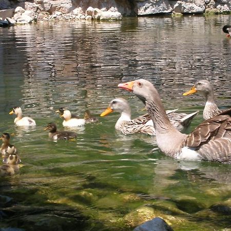 Adrasan River Hotel Kumluca Экстерьер фото